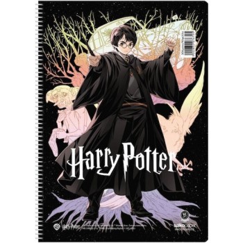 Harry Potter Σπιράλ Τετράδιο Ριγέ Β5 60 Φύλλων 2 Θεμάτων