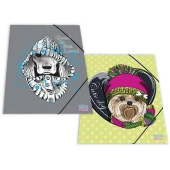 Skag Ντοσιέ Λάστιχο 25x35 Νέον Kidz 255011 Skag Ντοσιέ Λάστιχο 25x35 Νέον Kidz 255011