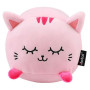 ΜΑΞΙΛΑΡΙ i-TOTAL XL2203E PINK CAT SMALL 20x12cm