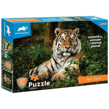 Animal Planet Puzzle 1000τεμ 73χ48εκ Τίγρης 570698