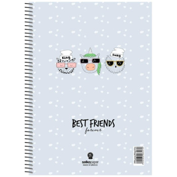 Salko Σπιράλ Best Friends 17x25/120σελ. 2 Θέματα S6452 Salko Σπιράλ Best Friends 17x25/120σελ. 2 Θέματα S6452
