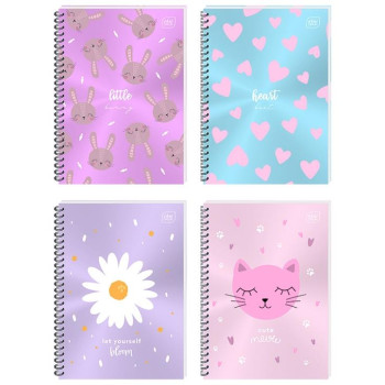 Interdruk Τετράδιο Σπιράλ Shiny 17χ25/2θ 120σ 111172527