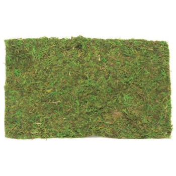 Glorex Γρασίδι Χειροτεχνίας 30g Σε Σακουλάκι Χρώμα Πράσινο 62220304