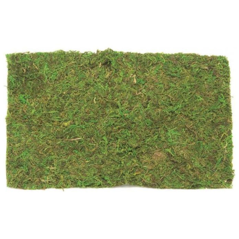 Glorex Γρασίδι Χειροτεχνίας 30g Σε Σακουλάκι Χρώμα Πράσινο 62220304 Glorex Γρασίδι Χειροτεχνίας 30g Σε Σακουλάκι Χρώμα Πράσινο 62220304