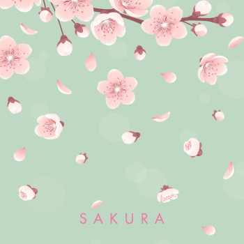 Αιγαίο Βιβλιοτετράδιο Sakura 3 θέματα A4 Αιγαίο Βιβλιοτετράδιο Sakura 3 θέματα A4