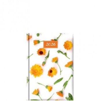 ΗΜΕΡΟΛΟΓΙΟ ΗΜΕΡΗΣΙΟ 14,5Χ20,5 MARIGOLD (2026)