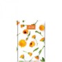 ΗΜΕΡΟΛΟΓΙΟ ΗΜΕΡΗΣΙΟ 14,5Χ20,5 MARIGOLD (2026)