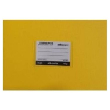 Salko Τετράδιο Στενόμακρο Χρωματιστό 40φ Κίτρινο 5176 Salko Τετράδιο Στενόμακρο Χρωματιστό 40φ Κίτρινο 5176