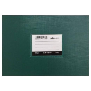 Salko Τετράδιο Στενόμακρο Χρωματιστό 40φ Λαχανί 5172 Salko Τετράδιο Στενόμακρο Χρωματιστό 40φ Λαχανί 5172