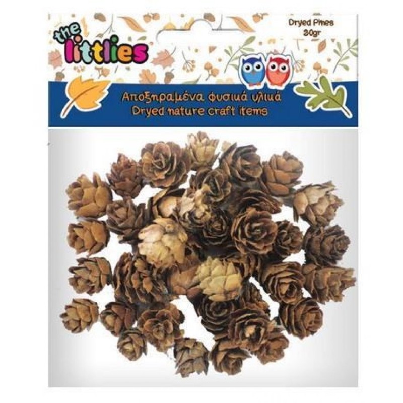 The Littlies Αποξηραμένα Κουκουνάρια Μικρά 20gr 4620172